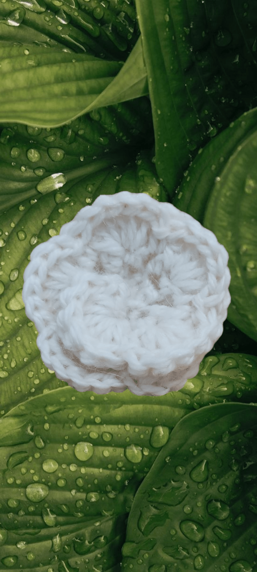 Broche de Rose - Bébé Crochet