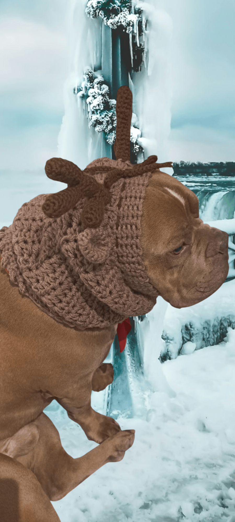 Snood décorative pour chien spécial halloween