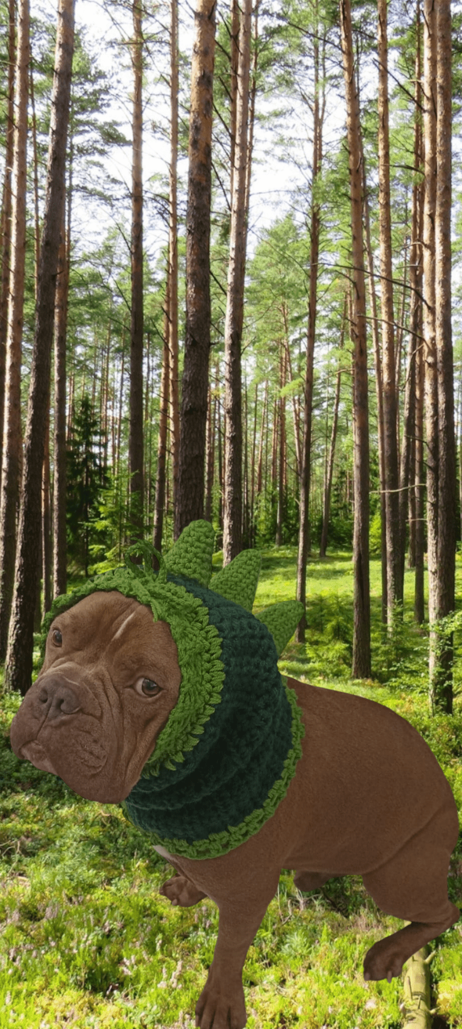 Snood décorative pour chien spécial halloween